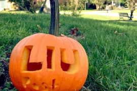 Long Island University, Post