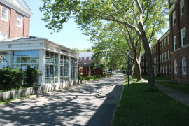 Pace University