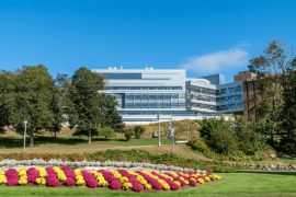 Brandeis University
